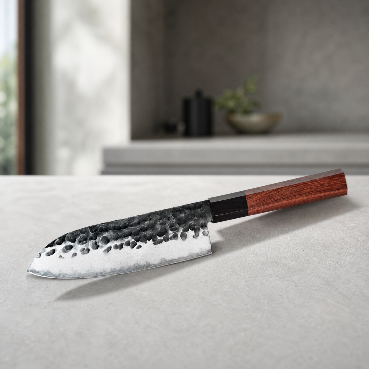 Coltello Santoku AUS10 in cucina premium pulita