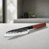 Coltello Santoku AUS10 in cucina premium pulita
