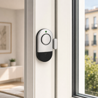 Allarme magnetico installato su una finestra moderna senza fili