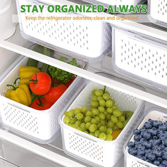 Contenitore salva-freschezza per frigo - frutta e verdura che durano settimane, non giorni